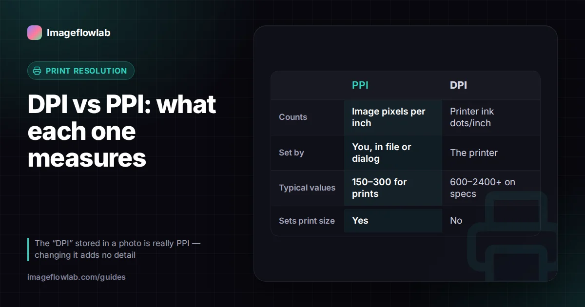 Infographic: DPI vs PPI: what each one measures. Counts: PPI Image pixels per inch, DPI Printer ink dots/inch; Set by: PPI You, in file or dialog, DPI The printer; Typical values: PPI 150–300 for prints, DPI 600–2400+ on specs; Sets print size: PPI Yes, DPI No.
